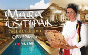 Ruralna kuća za odmor Didovina Sinj